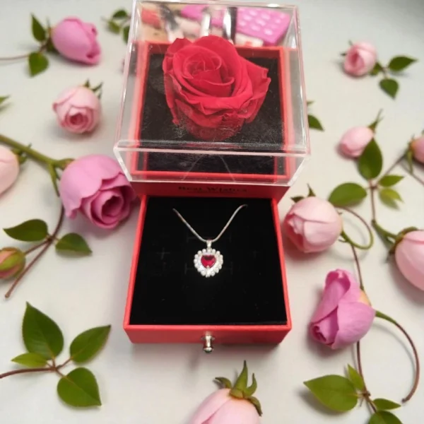 Κουτί με κόκκινο forever rose και ατσάλινο κολιέ